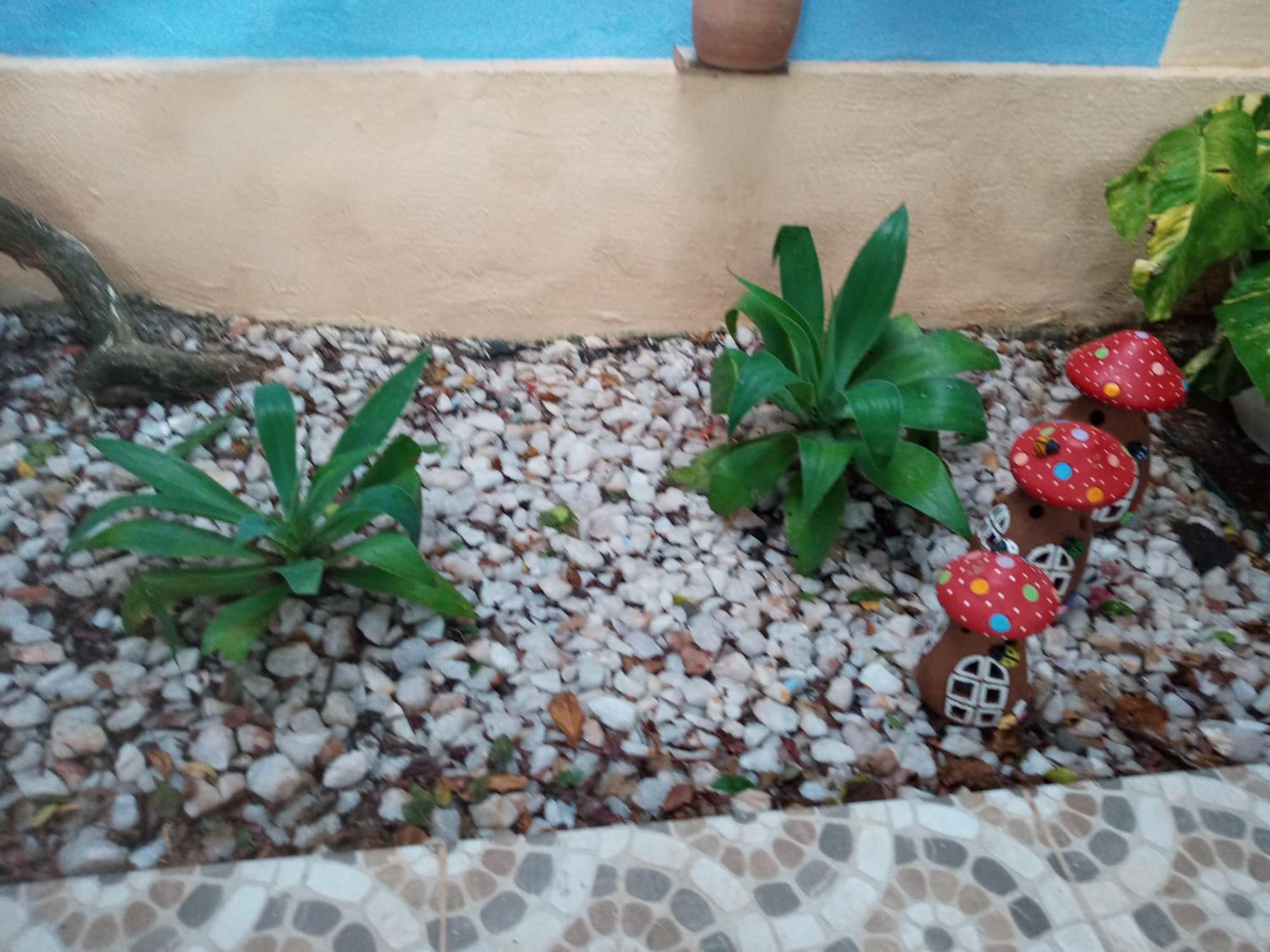 Zen Villas - Chales, Bem-Estar E Conexao Com A Natureza Lauro de Freitas Exterior photo