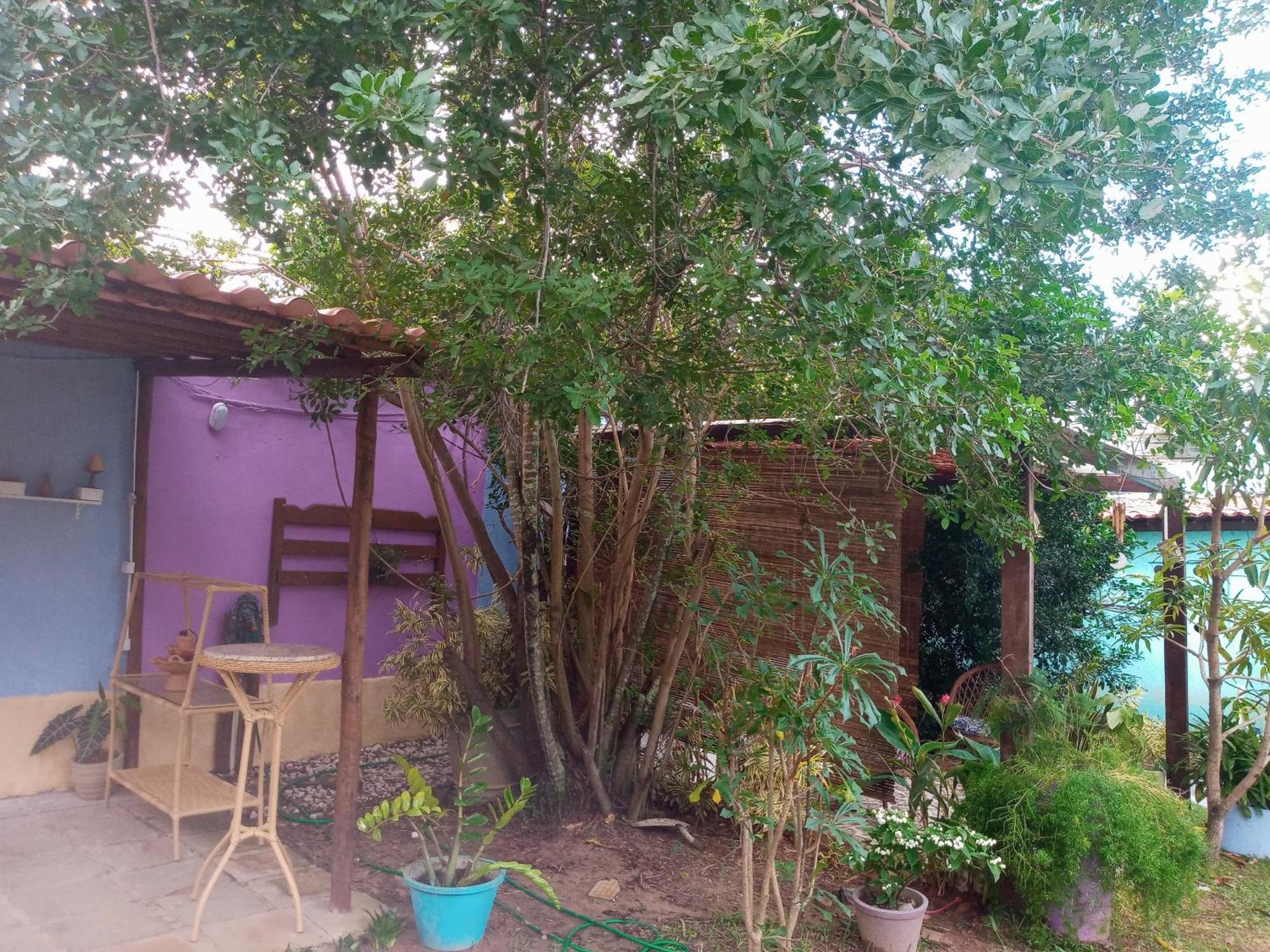 Zen Villas - Chales, Bem-Estar E Conexao Com A Natureza Lauro de Freitas Exterior photo
